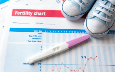 Praćenje plodnosti – menstrualni dnevnik