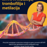 MTHFR e-BOOK
