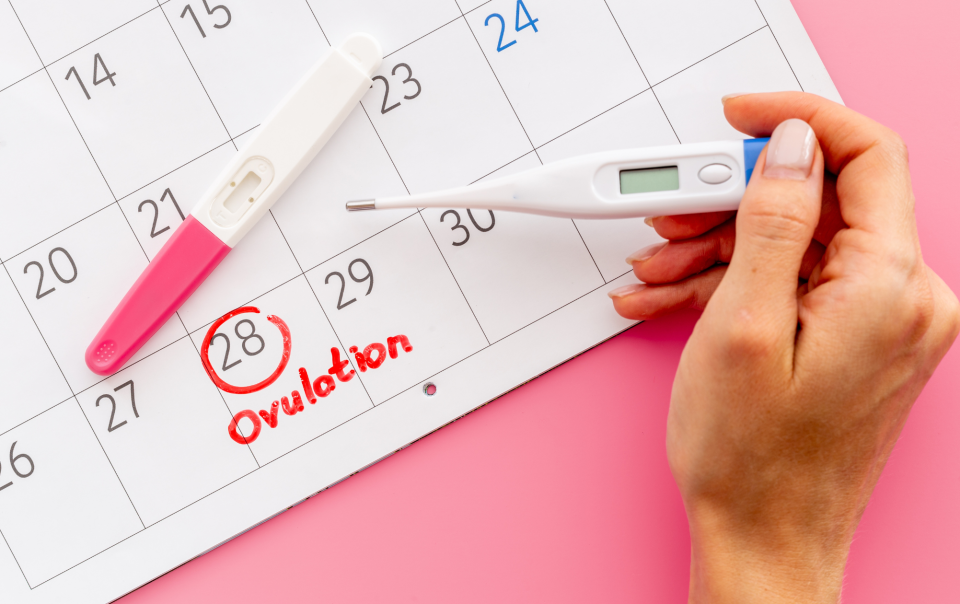 Kada_odbaciti_bazalnu_temperaturu